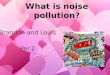 What is noise pollution? Brandon and Louis Per.2 Brandon and Louis Per.2