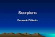 Scorpions Fernando DiNardo. About Scorpions Scorpions are predatory animals of the class Arachnida, making them cousins to spiders, mites and ticks.Scorpionsspiders