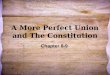 A More Perfect Union and The Constitution Chapter 8-9