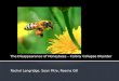 The Disappearance of Honeybees – Colony Collapse Disorder Rachel Langridge, Sean Pitre, Reema Gill