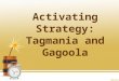 Activating Strategy: Tagmania and Gagoola. How did government policies and key issues lead to the civil war?