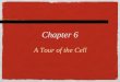 A Tour of the Cell Chapter 6. Overview: The Importance of Cells  Cell Theory: All organisms are made of cells  The cell is the simplest collection of
