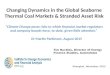 Changing Dynamics in the Global Seaborne Thermal Coal Markets & Stranded Asset Risk “Climate Change poses risks to which financial market regulators and