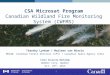 CSA Microsat Program Canadian Wildland Fire Monitoring System (CWFMS) Timothy Lynham / Marleen van Mierlo NRCAN, Canadian Forest Services (CFS) / Canadian