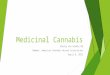 Medicinal Cannabis Shelly Van Winkle RN Member, American Cannabis Nurses Association April 8, 2015
