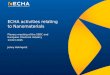 ECHA activities relating to Nanomaterials Jenny Holmqvist Plenary meeting of the SSDC and European Chemical Industry 13 Oct 2015