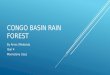 CONGO BASIN RAIN FOREST By Aime J Makanda Year 4 Moonstone class