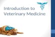 Introduction to Veterinary Medicine. What is Veterinary Medicine?  Veterinary Medicine is the medical treatment of animals. How is it different from