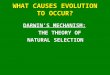 WHAT CAUSES EVOLUTION TO OCCUR? DARWIN’S MECHANISM: THE THEORY OF NATURAL SELECTION
