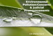 Powerpoint Templates 1 Environmental Pollution:Concerns & Judicial Pronouncements CS Disha Kant