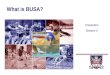 What is BUSA? Presenters Division X. Objectives Introduce BUSA Provide an overview of the Association Explain the structures Prepare delegates for Convention