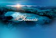 Introduction to Genesis I. What is the significance of the name “Genesis?” The Book of Beginnings A. The word “Genesis” means “beginning, origin or birth”