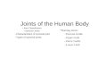 Joints of the Human Body Joint Classification Synovial Joints –Characteristics of synovial joint –Types of synovial joints Naming Joints: –Pectoral Girdle