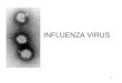 1 INFLUENZA VIRUS. 2 ‘FLU’ True influenza –influenza virus A or influenza virus B (or influenza virus C infections - much milder) Febrile (showing signs