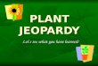 PLANT JEOPARDY Let ’ s see what you have learned!