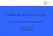 TEMBLOR mid-term review Participation in DESPRAD project Bernd Drescher Robert Wagner
