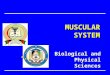 Biological and Physical Sciences MUSCULAR SYSTEM