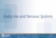 Endocrine and Nervous Systems. CPT® copyright 2012 American Medical Association. All rights reserved. Fee schedules, relative value units, conversion