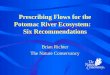 Prescribing Flows for the Potomac River Ecosystem: Six Recommendations Brian Richter The Nature Conservancy