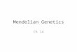 Mendelian Genetics Ch 14. Mendel Investigated variation in pea plants Studied traits in plants Particulate theory of inheritance – Genes maintain integrity
