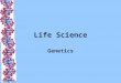 Life Science Genetics Gregor Mendel The basic laws of heredity were first formed during the mid- 1800’s by an Austrian botanist monk named Gregor Mendel