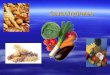 Carbohydrates. Carbohydrates  Most easily metabolized nutrient for the body, converted into glucose  glucose provides energy for the brain and ½ of