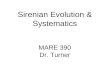 Sirenian Evolution & Systematics MARE 390 Dr. Turner