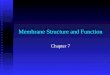 Membrane Structure and Function Chapter 7. n Objectives F Describe the fluid mosaic model of cell membranes and the roles of proteins in the membranes