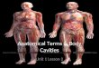 Anatomical Terms & Body Cavities Unit 1 Lesson 2