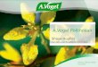 A.Vogel Pollinosan Shaye Hughes SA Natural Products (Pty) Ltd Pioneer in Natural Health Since 1923