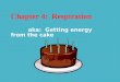 Chapter 4: Respiration aka: Getting energy from the cake
