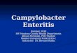 Campylobacter Enteritis Summer, 2010 SW Montana County Health Departments Allison McIntosh, PhD Student Walden University PubH 8165-1 Instructor: Dr. Howard