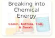 Breaking into Chemical Energy Camri, Katrina, Tori, & Sarah