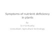 Symptoms of nutrient deficiency in plants By Dr P B Murthy Consultant: Agriculture technology