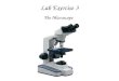 Lab Exercise 3 The Microscope. How to properly carry the microscope
