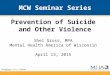 MCW Seminar Series Prevention of Suicide and Other Violence Shel Gross, MPA Mental Health America of Wisconsin April 13, 2015