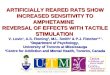 ARTIFICIALLY REARED RATS SHOW INCREASED SENSITIVITY TO AMPHETAMINE REVERSAL OF EFFECTS WITH TACTILE STIMULATION V. Lovic 1, A.S. Fleming 1, M.L. Smith