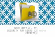 GOLD UNIT 4 - IT SECURITY FOR USERS (2 CREDITS) Bailey Ryan
