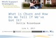 What is Churn and How Do We Tell If We’ve Got It? Dottie Rosenbaum June 4, 2013 cbpp.org