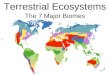 The 7 Major Biomes Terrestrial Ecosystems. Tundra Tree-less – has no trees Permafrost- a permanently frozen layer of soil under the surface