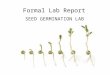 Formal Lab Report SEED GERMINATION LAB. Seed Germination Seed germination is the early growth stage of the a seed (plant baby). When seeds germinate,