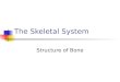 The Skeletal System Structure of Bone. Skeletal System The entire framework of bone and their associated cartilages Each individual bone is considered