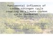 Fundamental influence of carbon- nitrogen cycle coupling on climate- carbon cycle feedbacks Peter Thornton NCAR, CGD/TSS Collaborators: Keith Lindsay,
