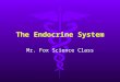 The Endocrine System Mr. Fox Science Class. Endocrine System A series of different glands that produce hormones that control many of the body’s daily