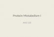 Protein Metabolism I ANS 520. Topics Amino acid metabolism Microbial protein contributions Ruminal N digestion