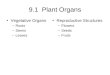 9.1 Plant Organs Vegetative Organs –Roots –Stems –Leaves Reproductive Structures –Flowers –Seeds –Fruits