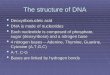 The structure of DNA  Deoxyribonucleic acid  DNA is made of nucleotides  Each nucleotide is composed of phosphate, sugar (deoxyribose) and a nitrogen