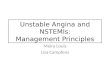 Unstable Angina and NSTEMIs: Management Principles Meira Louis Lisa Campfens