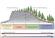 Importance of unique events/thresholds Discrete vs. continuous processes Storms Disturbance Landslides Debris Flows