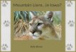 Mountain Lions…In Iowa? Kyle Kleve. Historic vs. Present Range